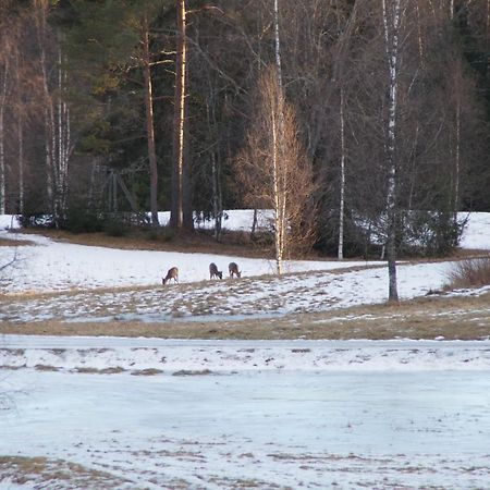 Cosy Private Cottage With Stunning View Sunne Extérieur photo